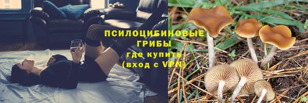 apvp Абдулино