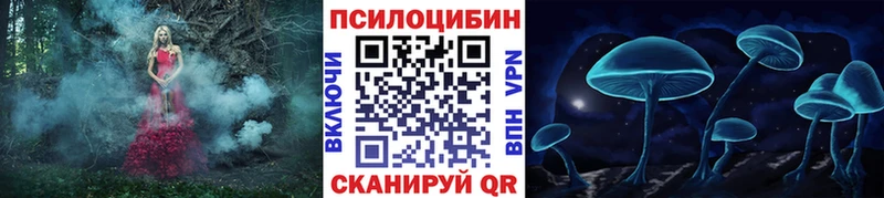 Псилоцибиновые грибы Psilocybe  Назрань 